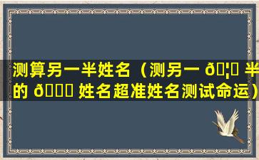 测算另一半姓名（测另一 🦊 半的 🍀 姓名超准姓名测试命运）